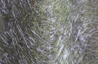 Hedge End fibreglass roof work